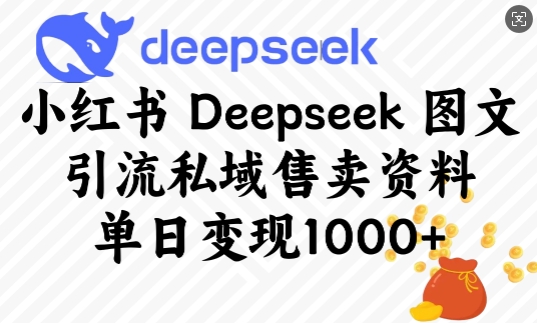 图片[1]-【2025.02.25】小红书Deepseek图文引流私域售卖资料，单日变现1000+-芽米宝库