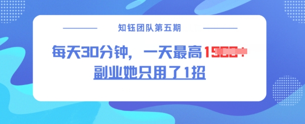 【2025.02.25】副业她只用了1招，每天30分钟，无脑二创，一天最高1.5k-芽米宝库