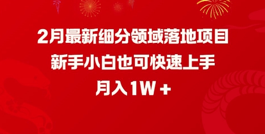 图片[1]-【2025.02.24】2月最新细分领域落地项目，新手小白也可快速上手，月入1W百度网盘免费下载-芽米宝库