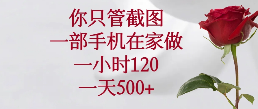 图片[1]-【2025.02.21】你只管截图，一部手机在家做，一小时120，一天500+百度网盘免费下载-芽米宝库