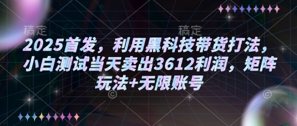图片[1]-【2025.02.20】2025首发，利用黑科技带货打法，小白测试当天卖出3612利润，矩阵玩法+无限账号百度网盘免费下载-芽米宝库