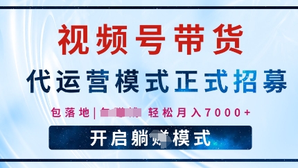 【2025.02.19】视频号代运营，全程托管计划招募，躺Z模式，单月轻松变现7k百度网盘免费下载-芽米宝库