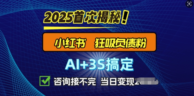 图片[1]-【2025.02.17】2025引流天花板：最新小红书狂暴负债粉思路，咨询接不断，当日入多张百度网盘免费下载-芽米宝库