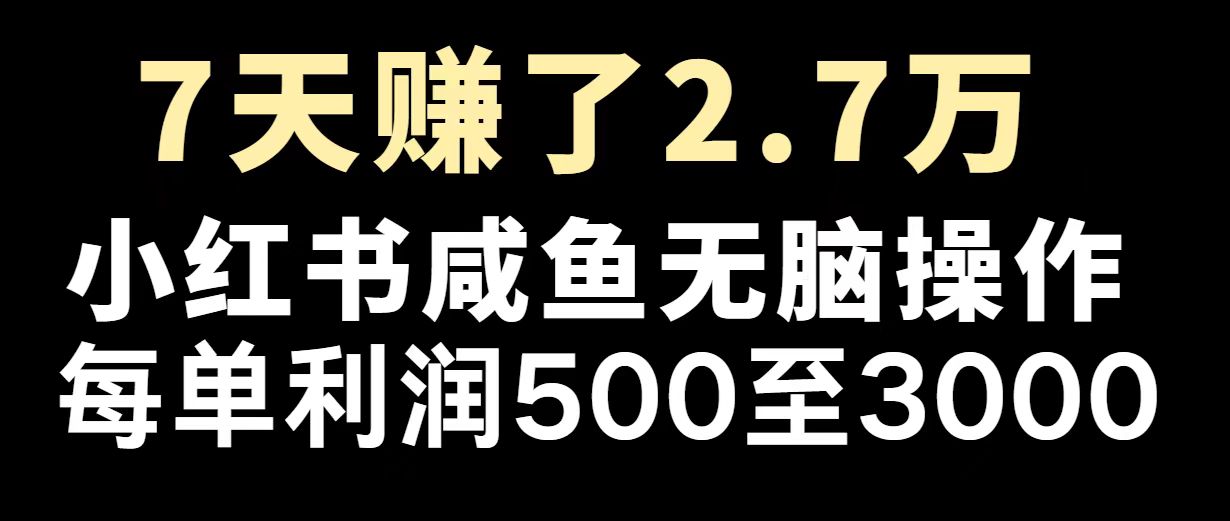 【2025.02.15】最赚钱项目之一，2025爆火，逆风翻盘百度网盘免费下载-芽米宝库