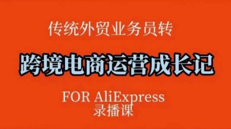 【2025.02.14】跨境电商速卖通运营课，​运营方法论+后台实操，逻辑清晰百度网盘免费下载-芽米宝库