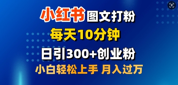 【2025.02.10】2月小红书图文打粉，每天10分钟，日引300+创业粉，小白轻松月入过W百度网盘免费下载-芽米宝库