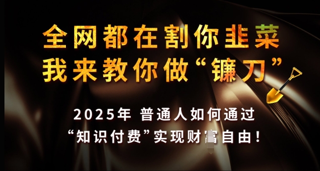 【2025.02.08】全网都在割你韭菜，我来教你做镰刀，2025年普通人如何通过 知识付费 实现财务自由百度网盘免费下载-芽米宝库