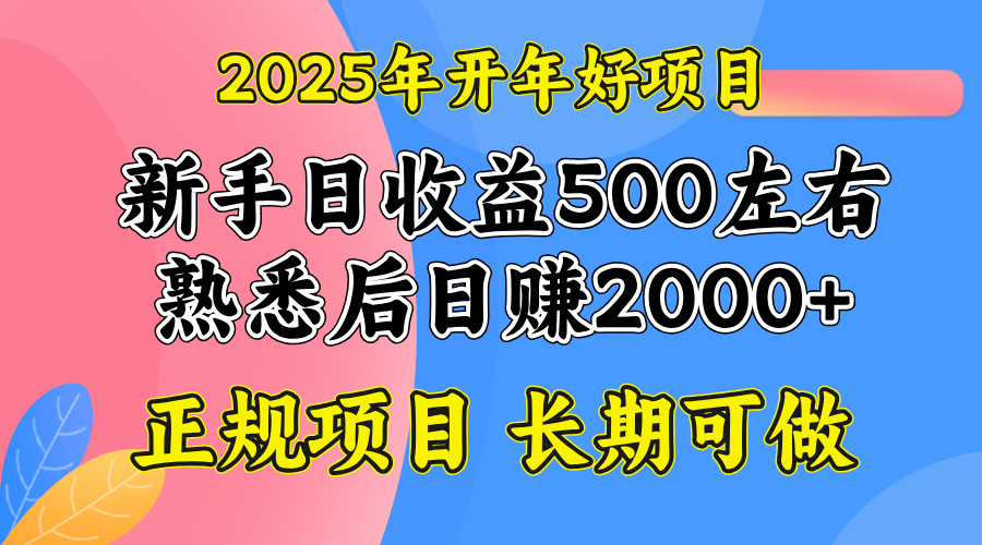 【2025.02.05】2025开年好项目，单号日收益2000左右百度网盘免费下载-芽米宝库