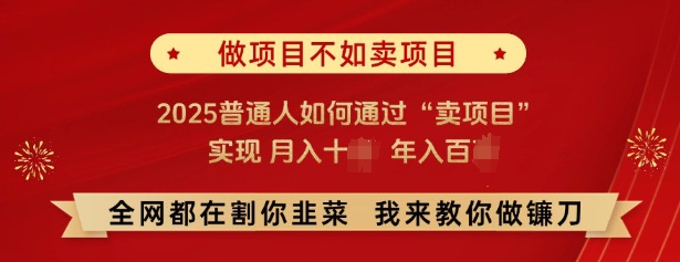 【2025.02.04】必看，做项目不如卖项目，2025普通人如何通过“卖项目”实现月入十个，年入百个百度网盘免费下载-芽米宝库