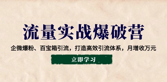 【2025.01.25】流量实战爆破营：企微爆粉、百宝箱引流，打造高效引流体系，月增收万元百度网盘免费下载-芽米宝库