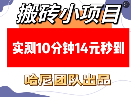 【2025.01.15】搬砖小项目，实测10分钟14元秒到，每天稳定几张(赠送必看稳定)百度网盘免费下载-芽米宝库