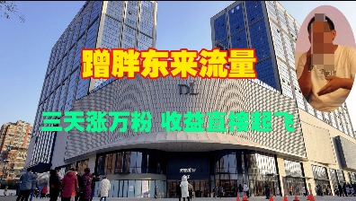 【2025.01.09】蹭胖东来流量，三天涨万粉，收益直接起飞百度网盘免费下载-芽米宝库