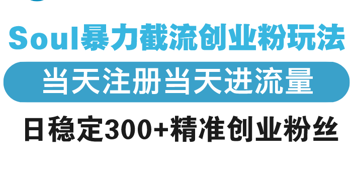 【2025.01.08】Soul暴力截流创业粉玩法，当天注册当天进流量，日稳定300+精准创业粉丝百度网盘免费下载-芽米宝库