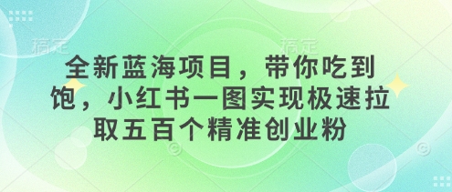 图片[1]-【2025.01.06】全新蓝海项目，带你吃到饱，小红书一图实现极速拉取五百个精准创业粉百度网盘免费下载-芽米宝库