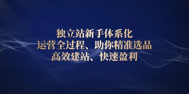 图片[1]-【2025.01.06】独立站新手体系化 运营全过程，助你精准选品、高效建站、快速盈利百度网盘免费下载-芽米宝库