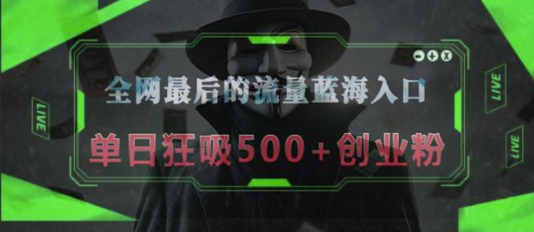 【2025.01.02】全网最后的流量蓝海入口，半小时引流50+创业粉，单日狂吸500+创业粉百度网盘免费下载-芽米宝库