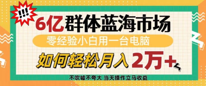 【2024.12.31】6亿群体蓝海市场，零经验小白用一台电脑，如何轻松月入过万百度网盘免费下载-芽米宝库