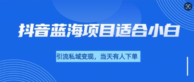 图片[1]-【2024.12.30】抖音蓝海小赛道私域变现项目，单价9.9单天变现100+，实操玩法分享给你-芽米宝库