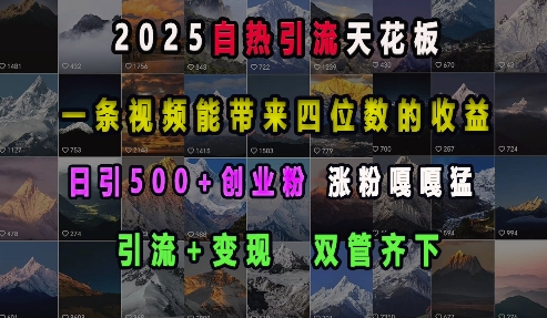 图片[1]-【2024.12.29】2025自热引流天花板，一条视频能带来四位数的收益，引流+变现双管齐下，日引500+创业粉，涨粉嘎嘎猛百度网盘免费下载-芽米宝库
