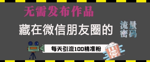 图片[1]-【2024.12.29】藏在微信朋友圈的流量密码，无需发布作品，单日引流100+精准创业粉百度网盘免费下载-芽米宝库