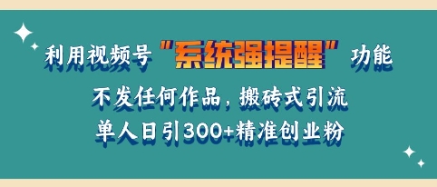 图片[1]-【2024.12.27】利用微信视频号系统提醒功能，引流精准创业粉，无需发布任何作品，单人单日引流300+创业粉百度网盘免费下载-芽米宝库
