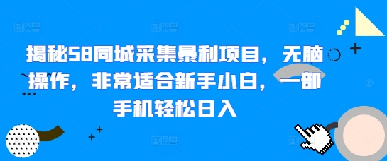 【2024.12.25】揭秘58同城采集暴利项目，无脑操作，非常适合新手小白，一部手机轻松日入百度网盘免费下载-芽米宝库