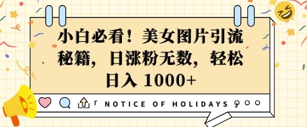 图片[1]-【2024.12.23】小白必看，美女图片引流秘籍，日涨粉无数，轻松日入1000+百度网盘免费下载-芽米宝库