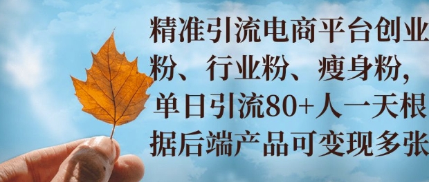 图片[1]-【2024.12.20】小投资撬动大收益，精准引流创业粉、行业粉，单日引流80+，一天可变现多张百度网盘免费下载-芽米宝库