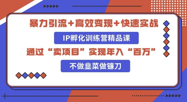 图片[1]-【2024.12.18】知识付费独家玩法：精准引流+高效变现，简单复制成功模式，最新IP共创导师训练营玩法百度网盘免费下载-芽米宝库