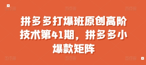 图片[1]-【2024.12.18】拼多多打爆班原创高阶技术第41期，拼多多小爆款矩阵百度网盘免费下载-芽米宝库