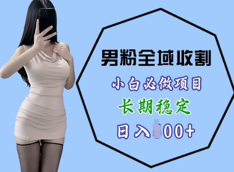 【2024.12.17】男粉项目全域收割，小白必做项目，长期稳定，稳定日入几张百度网盘免费下载-芽米宝库