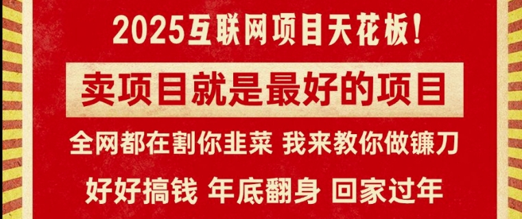 图片[1]-【2024.12.16】卖项目就是最好的项目，2025年互联网项目天花板百度网盘免费下载-芽米宝库