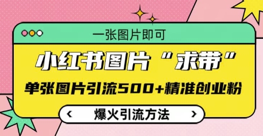 图片[1]-【2024.12.15】小红书图片‘求带’爆火引流法，单张图片引流500+精准创业粉百度网盘免费下载-芽米宝库