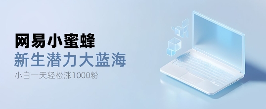 图片[1]-【2024.12.12】网易小蜜蜂，最新大蓝海项目，单日轻松日涨千粉百度网盘免费下载-芽米宝库