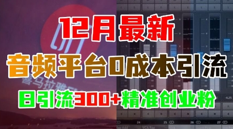 图片[1]-【2024.12.13】12月最新：音频平台0成本引流，日引流300+精准创业粉百度网盘免费下载-芽米宝库