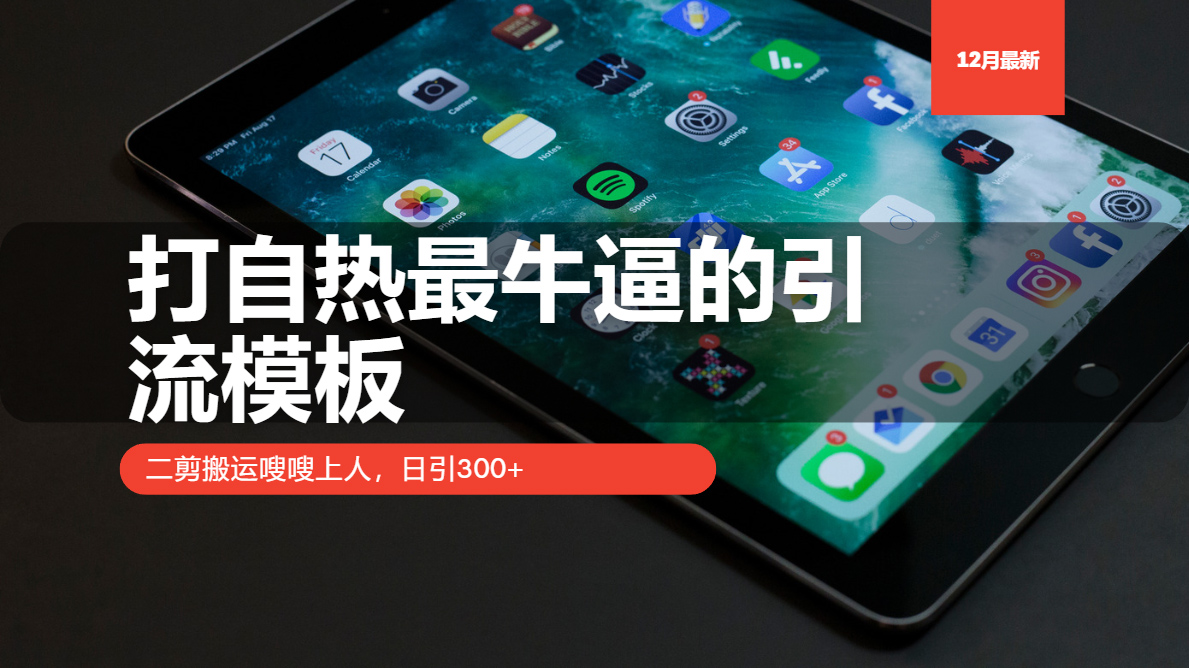 【2024.12.13】打自热最牛逼的引流模板，二剪搬运嗖嗖上人，日引300+百度网盘免费下载-芽米宝库