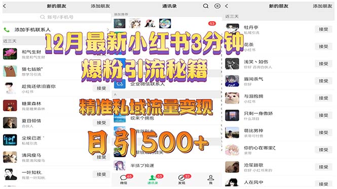 图片[1]-【2024.12.13】12月最新小红书3分钟爆粉引流秘籍 精准私域流量变现 日引500+百度网盘免费下载-芽米宝库