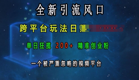 【2024.12.12】全新引流风口，跨平台玩法日入上k，单日狂揽200+精准创业粉，一个被严重忽略的视频平台百度网盘免费下载-芽米宝库