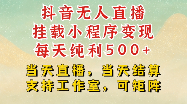 图片[1]-【2024.12.11】抖音无人直播挂载小程序变现，每天纯利500+，当天直播，当天结算支持工作室，可矩阵百度网盘免费下载-芽米宝库