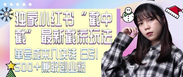 【2024.12.11】最新小红书截流玩法 独家截中截 单号成本几块钱 日引500+创业粉兼职粉百度网盘免费下载-芽米宝库