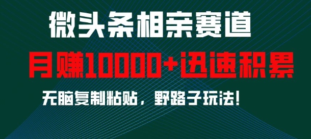 【2024.12.10】微头条相亲赛道，迅速积累，无脑复制粘贴，野路子玩法，月入1w百度网盘免费下载-芽米宝库