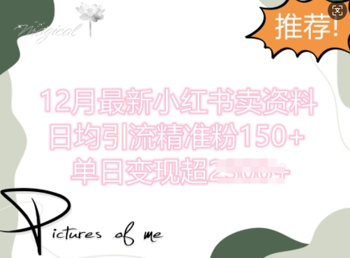【2024.12.07】12月最新小红书日均引流精准粉100+，单日变现多张百度网盘免费下载-芽米宝库