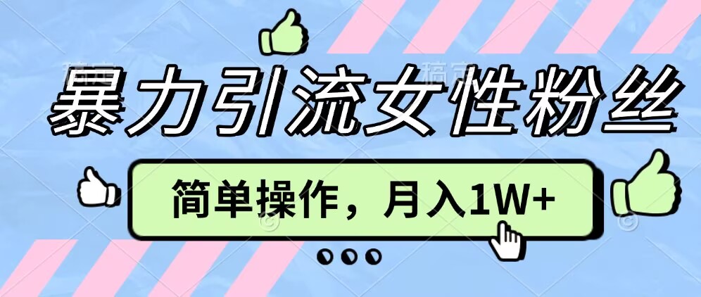 【2024.12.06】操作“零难度”小众项目，疯狂引流女性粉丝，月入轻松破 1W+百度网盘免费下载-芽米宝库
