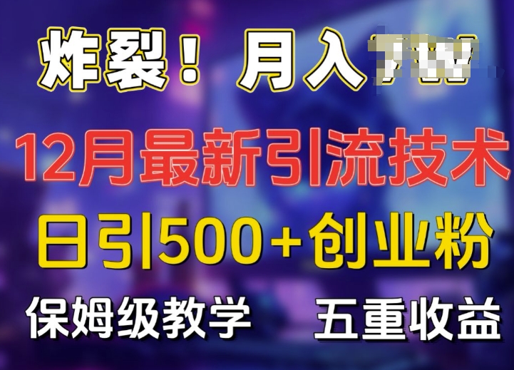【2024.12.06】炸裂!揭秘12月最新日引流500+精准创业粉，多重收益保姆级教学百度网盘免费下载-芽米宝库