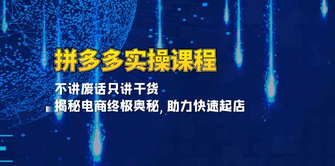图片[1]-【2024.12.06】拼多多实操课程：不讲废话只讲干货, 揭秘电商终极奥秘,助力快速起店百度网盘免费下载-芽米宝库