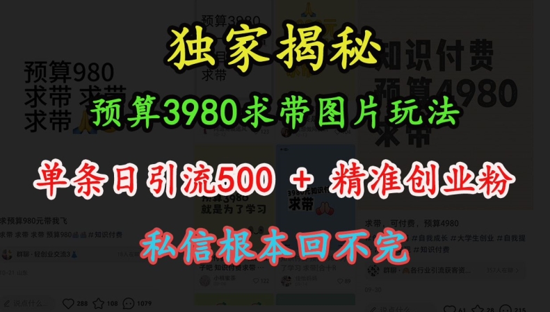 图片[1]-【2024.12.05】预算3980求带 图片玩法，单条日引流500+精准创业粉，私信根本回不完百度网盘免费下载-芽米宝库