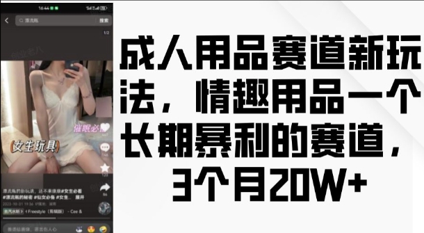 图片[1]-【2024.12.04】成人用品赛道新玩法，情趣用品一个长期暴利的赛道，3个月收益20个百度网盘免费下载-芽米宝库