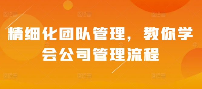 【2024.12.03】精细化团队管理，教你学会公司管理流程百度网盘免费下载-芽米宝库