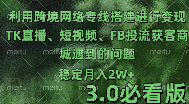 图片[1]-【2024.12.02】利用跨境电商网络及搭建TK直播、短视频、FB投流获客以及商城遇到的问题进行变现3.0必看版百度网盘免费下载-芽米宝库
