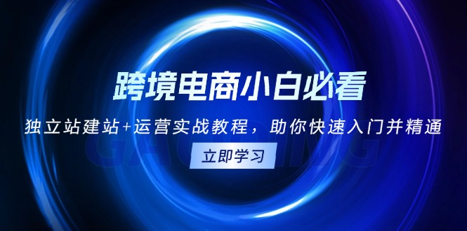 【2024.11.30】跨境电商小白必看！独立站建站+运营实战教程，助你快速入门并精通百度网盘免费下载-芽米宝库